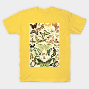 Luna Moth Butterfly Vintage Botanical Illustration T-Shirt